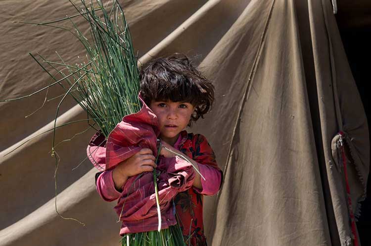 زندگی عشایری