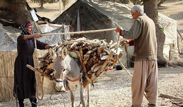 زندگی عشایری
