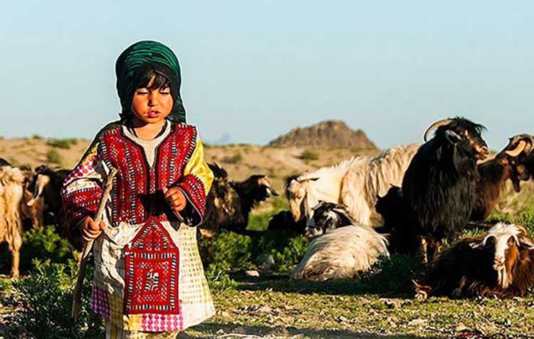 زندگی عشایری