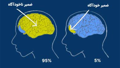 ضمیر ناخوداگاه در کجای مغز قرار دارد؟ آیا همان روح است؟